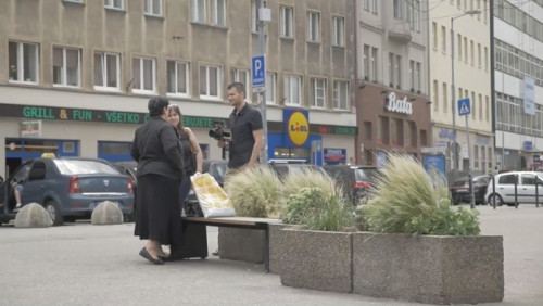 LŠFJ 2015 Paintings of a Woman