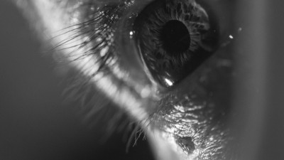 Photographic work
