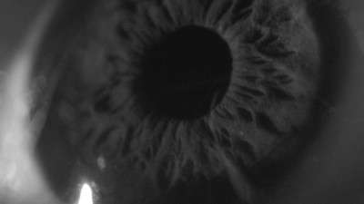 Photographic work