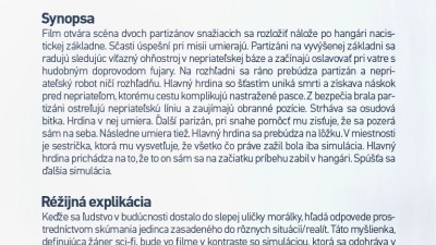PDF - Treatment Magisterského projektu - polrok