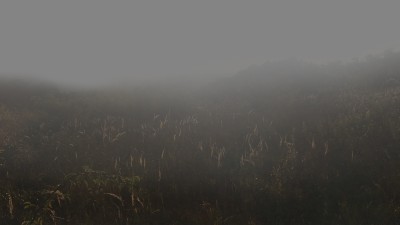 Atmosféry_Lúka_Hmla