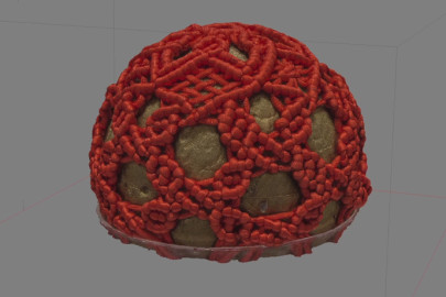 2018 LS 3D Scan