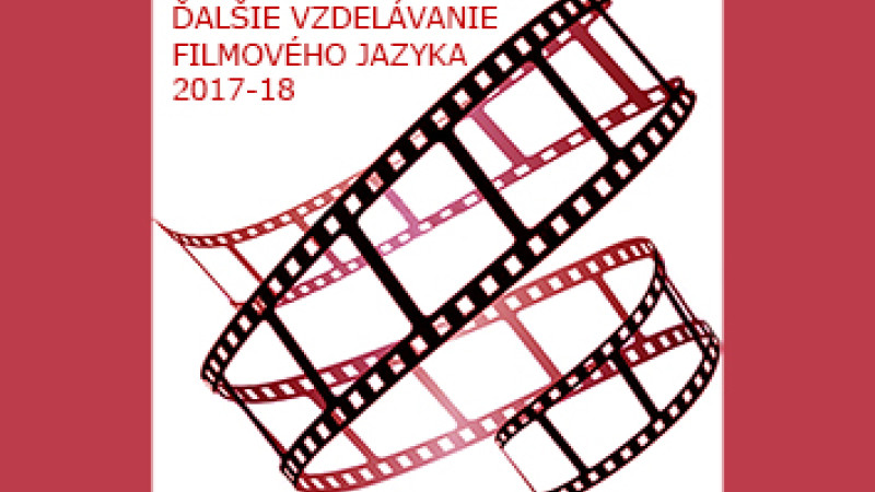 DVFJ logo 2017